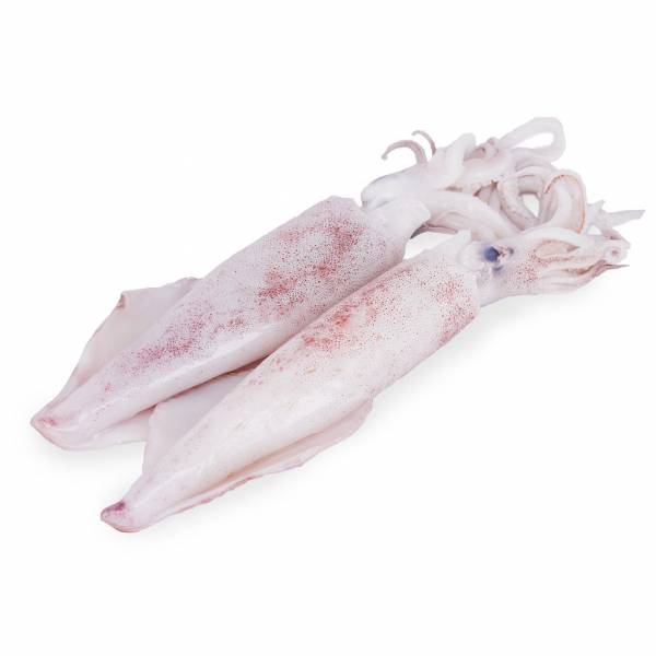 Seafood