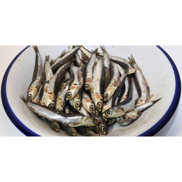 Seafood